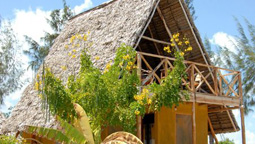 هتل پاکاچی بیچ زنگبار تانزانیا