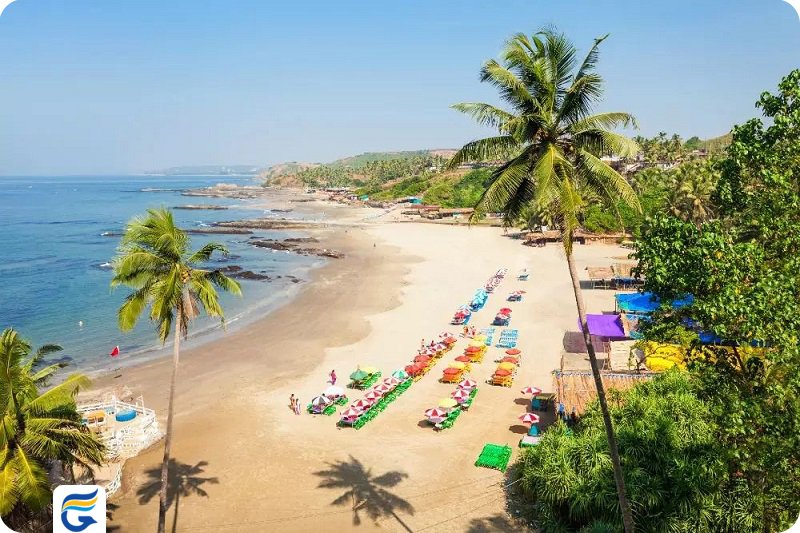 ساحل باگا گوا هند