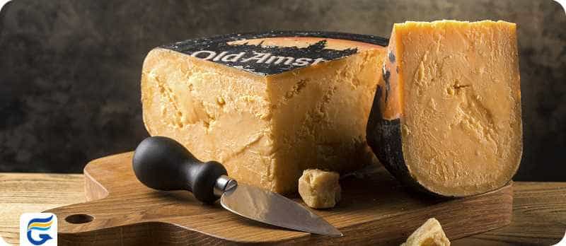 Dutch cheese پنیر هلند