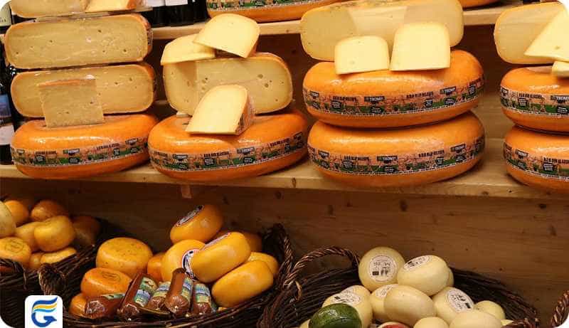 Dutch cheese پنیر هلند