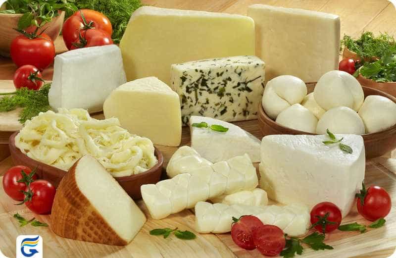 Italian cheese پنیر ایتالیایی