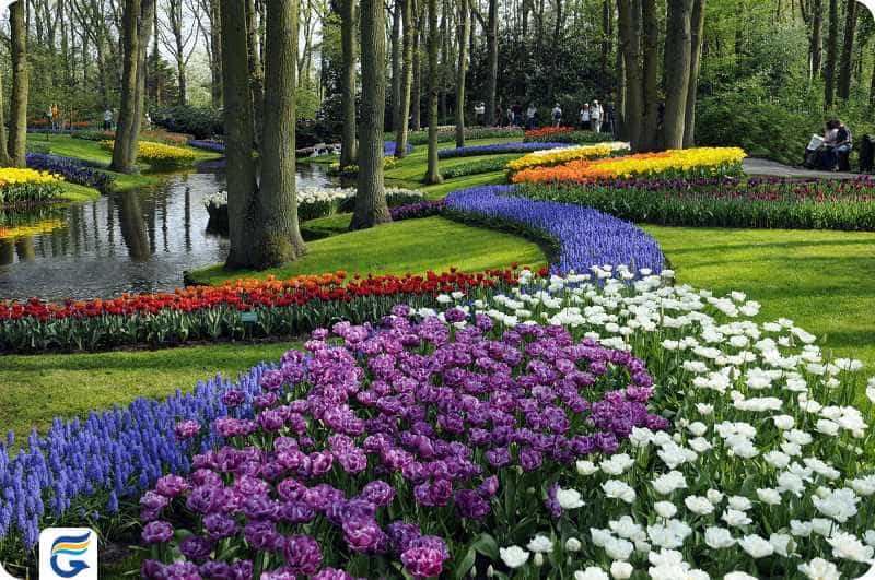 Keukenhof باغ گل کوکنهوف