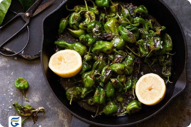 Pimientos de Padron پیمینتوس د پادرون