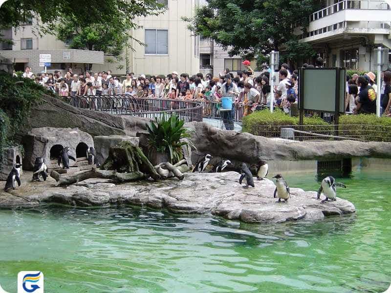 Ueno Park and Zoo پارک و باغ وحش اوئنو