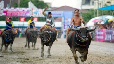 جشن ها و فستیوال های تایلند