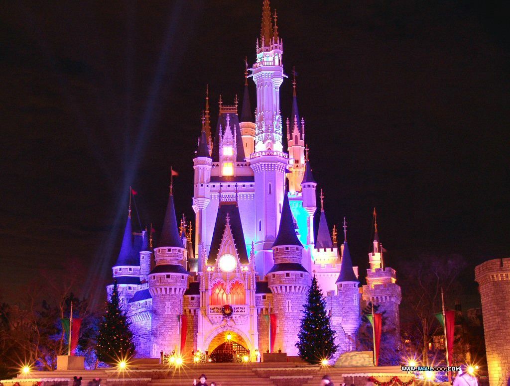 دیزنی لند ژاپن Japan disneyland - بلیط چارتر و لحظه آخری ژاپن