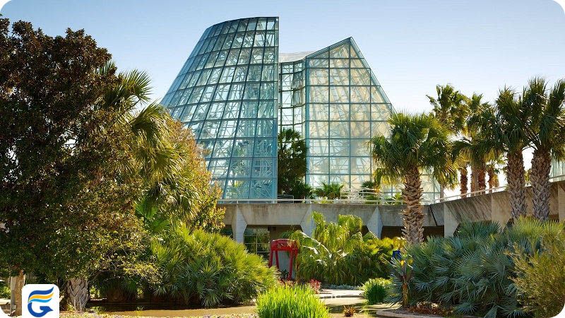 باغ گیاه شناسی سن آنتونیو و قیمت بلیط رفت و برگشت آمریکا